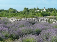 Villa Adriella 