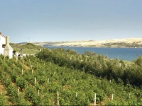 Sveti Marko VI Holiday Home 