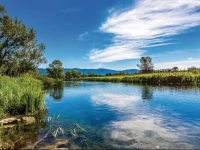Licko Lesce Covici Holiday Home 