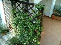 Guesthouse Stanger Lovran 3*