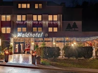 Waldhotel Eisenberg 3*