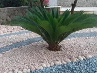 Opatija Centar 