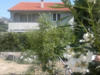 Violeta Guest House 