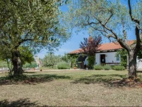 Le Punte Holiday Home 