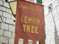 Tragos Lemon Tree 