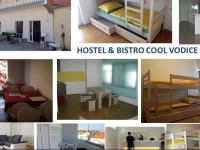 Cool Hostel 