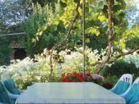Cosy 3 bedroom holiday house w/large yard 