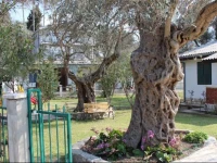 Michael Family House 