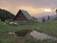Chalet Scepanovic 