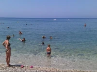Eco Holiday 