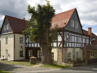U ZelenГ©ho Stromu Hotel 3*