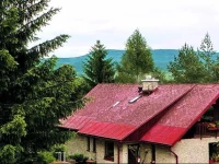 Penzion Bor 3*