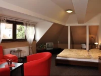 U ZlatГ©ho bГЅka Hotel 3*