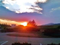 Tedec Hotel 3*