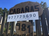 El bosque del canelo 