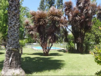 Hostal y CabaГ±as los ViГ±edos