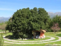 CabaГ±a Laguna Aculeo 