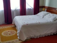 Alerce Nativo Hotel 