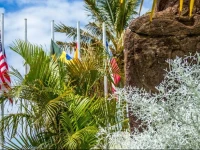 Rapa Nui Hotel 