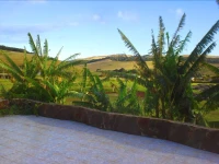 Cabanas Rapa Nui Orito 3*