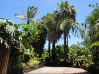 Hostal Noa Ariki 