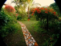 Residencial Tahai 