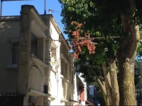 Della Cruz Hotel 