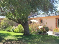 Hostal El Arbol Beach 
