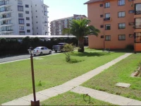 Roypace La Serena 