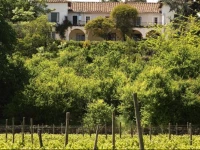 El Cerrillo Bed & Breakfast 