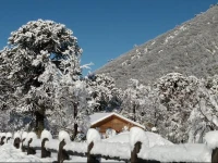 Cabanas Pukelahue 