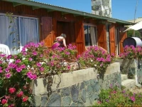 House Pichidangui 