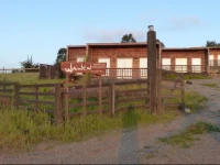Waiwen 