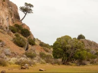 Isla MascГ­as Retreat 