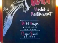 Wild Hostel 