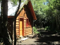 Bosque de Pucon 