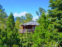 Tree Lodge Nidos de Pucon 