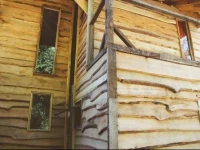Willhouse 