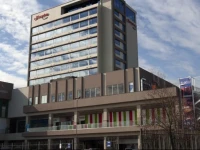 Hampton by Hilton Rancagua 