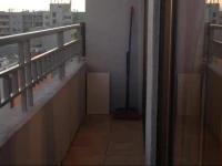 Arauco Suite 