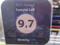 Forestal Loft 