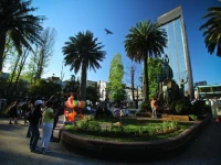 Tenerife Hostel 