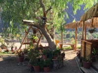 Hostal Al Yaras 