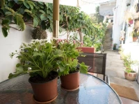 Hostal Recreo 