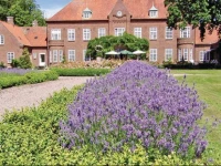 Holiday home Stureholmsv. Allerum 