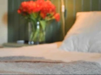 BrГ¶sarps GГ¤stgifveri & SPA 