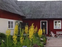 Augustas Bed & Breakfast 
