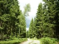 The Morrum River Bed and Breakfast 