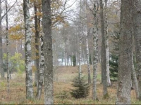 Three-Bedroom Holiday home BolmsГ¶ with Lake View 01 