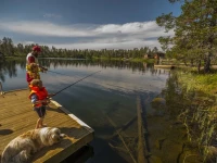 Pinetree Lodge 